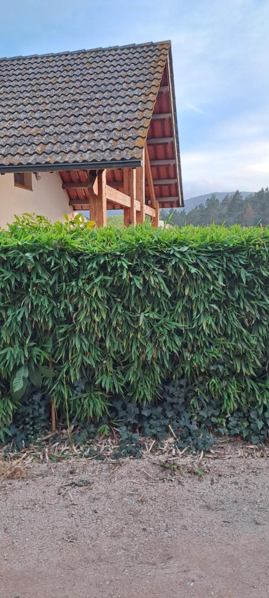 Vallgorguina Chalet Entre Parques Naturales מראה חיצוני תמונה